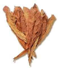 Tobacco leaf, leaf tobacco, amber leaf tobacco, tobacco leaf extract, whole leaf tobacco, stevia dry leaf, dried leafes. Organic Tobacco Leaf For Sale Organic Burley Tobacco Total Leaf Supply