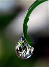 Pin By Tamanna C On Soul Food For The Day Dew Drops Water Drops Water Art