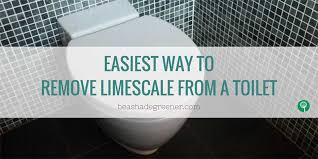 It's an acidic solution, which can penetrate the stain and lift it off the surface. How To Prevent Limescale Build Up Remove Limescale In A Toilet Natural Limescale Removers