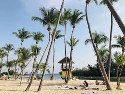 Our selection includes everything from coffee equipment, hot drink dispensers and espresso machines, to underbar cocktail stations, portable bars, and slushy stations. 50 Unique Things To Do In Singapore The World S Ultimate Stopover Destination Inspired By Maps