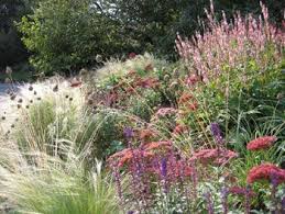 Prairie Garden Shoot Prairie Garden Garden Design Prairie Planting