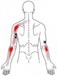 Pin On Massage