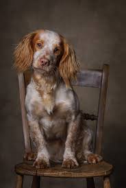 Keep Learning And Keep Creating