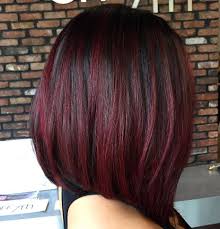Image Result For Medium Length Hair Dark With Red Highlights Black Cherry Hair Cherry Hair Colors Black Cherry Hair Color