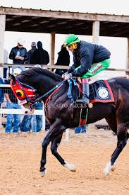 El millon cuando estaba en el cuido del huentis el cual lo dejo invicto con  un gran campeonato de pesos pesados el mejor torneo de USA 🇺🇸 Como dice  un corrido cuando