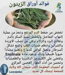 pin by nadia ammar on alimentation nutrition dietetique les bienfaits الاغذية والاطعمة و فوائدها health fitness nutrition health facts food health and nutrition