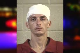 Dalton Potter — Whitfield County Jail Bookings