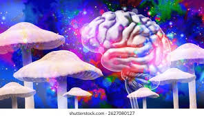 Image result for Hallucinogen