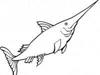 Swordfish coloring pages are a fun way for kids of all ages to develop creativity, focus, motor skills and color recognition. 28 Swordfish Coloring Page Ideas Swordfish Coloring Pages Coloring Pictures