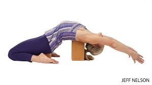3 Prep Poses For One Legged King Pigeon Pose Ii King Pigeon Pose King Pigeon Pigeon Pose