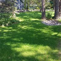 You might consider it for your own landscaping project if you have a relatively large. Residential Hydroseeding Services In Minneapolis