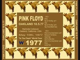 Image result for Pink 1977 Amana