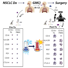 mesotheliomas are uncommon tumours arising from the mesothelial surface (pleura, peritoneum, and rarely from sites such as the pericardium and tunica vaginalis testis). Neoadjuvant Gene Mediated Cytotoxic Immunotherapy For Non Small Cell Lung Cancer Safety And Immunologic Activity Molecular Therapy