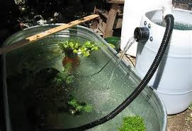 Find a budget pond vacuum is not easy at all because they are very expensive but thanks to this guide, you do not have to hit the internet and break the bank on a pond vacuum. Barrel Pond Filter Shefalitayal