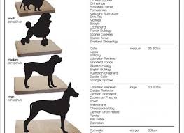 Chic Dog Bed Size Dog Bed Size Chart By Breed Bed Size Xx