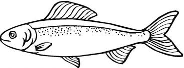 Printable Animal Coloring Page Suzie Salmon 2 Animal Coloring Pages Coloring Pages Printable Animals
