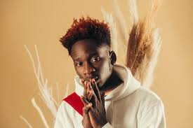 Fallin' all in you shawn mendes: Nigeria Mr Eazi Wants To Raise 20 Million Fund To Invest In Afrobeats Creatives Cowry News