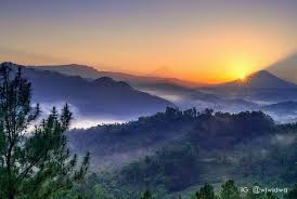 Bukit Pentulu Indah Karangsambung Kebumen Informasi Sejarah Budaya Wisata Kebumen Jika jogja punya menara pandang atau rumah pohon berpemandangan keren di kalibiru maka kebumen punya bukit pentulu indah atau bukit pi. bukit pentulu indah karangsambung