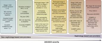 Controversies In Acute Kidney Injury Conclusions From A Kidney Disease Improving Global Outcomes Kdigo Conference Kidney International