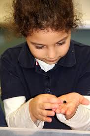 In school field trip provides hands-on fun and marine science information  for Old Kings kindergarten students