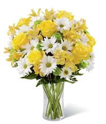 Maybe you would like to learn more about one of these? Just Because Flowers Fromyouflowers