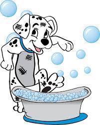 Check spelling or type a new query. All About Pets Mobile Grooming Home Facebook