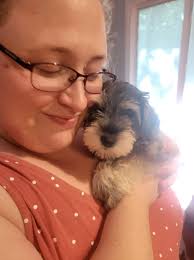 I just love these dogs so much!!!Cuteness overload!🐾🐾🐾🐾🥰😘