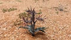 Image result for Ornithoglossum viride