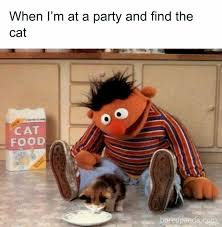images?q=tbn:ANd9GcSRixZkp4JwYtOf5bLjGEy