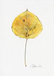Aspen Leaf 5 X 7 Original Watercolour Painting By Charitydakin 45 00 Aspen Trees Tattoo Aspen Leaf Aspen Trees
