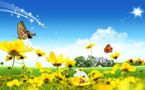 The creator has brought the whole universe in existence with great detail in each and everything. Wallpaper Nature Flowers Posted By Sarah Anderson