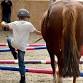 Running a Therapeutic  Horsemanship Centre event image
