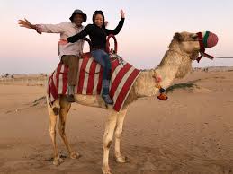 Most of the people, when coming to the desert, take the help of a land cruiser. Tripadvisor Dubai Sunrise Camel Trek With Breakfast Provided By Oceanair Travels Emirate Of Dubai