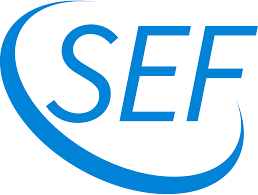 High quality covering materials for luxury products and the packaging industry. Startseite Stiftung Sef