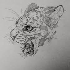 Kate Mackay Gill Animal Drawings Sketches Animal Drawings Realistic Drawings