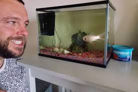 Funfair-prize goldfish outlives owner's two failed marriages combined