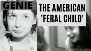 Genie Wiley: America's Feral Child