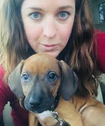 Reviews of online dog trainers & courses