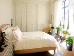 فنغ شوي غرفة نوم 139 صور قواعد لتزيين الجدران مع اللوحات والألوان وترتيب الأثاث أفكار التصميم هل من الممكن للحفاظ على السحلية