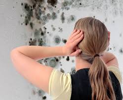 Empoisonnement Par Les Moisissures Est Il Dangereux De Manger Du Pain Moisi Depend De Votre Corps