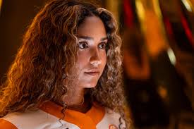 Tennessee Volunteers