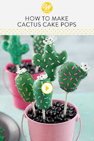 Do you like cactus grafts? Pin On Baking Tutorial Videos