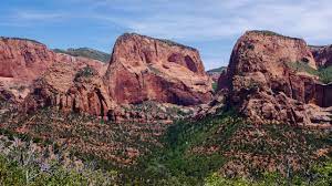 When visitors discover the beauty and magic of zion canyon, they are hooked! Zion National Park Sehenswurdigkeiten Wanderwege Aussichtspunkte