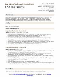 Resume samples for business analyst balep midnightpig co. Consultante Sap Abap Anciens Et Reunions