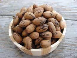 We did not find results for: Mahan Pecan Tree Nut Trees Ison S Nursery Vineyard