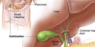 If your gallbladder symptoms subside only to return after reintroducing the suspicious food, then it may be a good idea to avoid the irritating product over the long term. 10 Things You Should Know About A Gallbladder Flare Up Nutrition Beast