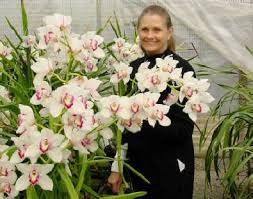 Open today until 2:00 pm. Rudvalis Orchids 6595 Black Rail Rd Carlsbad Ca 2021