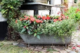 Badewanne im garten garten badewanne garten alte badewanne. Pflanzgefasse Fur Den Topfgarten Tipps Fur Balkon Terrasse Themen Lokalmatador