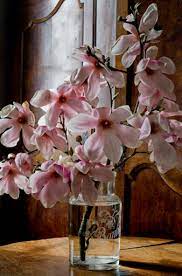 We always go the extra mile to make your floral. Pin By V Soderqvist On Yexotic Æ¥ink É arden Beautiful Flowers Flower Arrangements Pretty Flowers