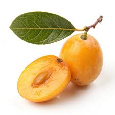 Image result for Ximenia